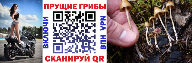 дарк нет какой сайт  где продают наркотики  Усолье-Сибирское  Псилоцибиновые грибы мухоморы 